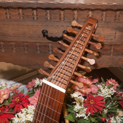 Roosebeck 8-Course Travel Lute