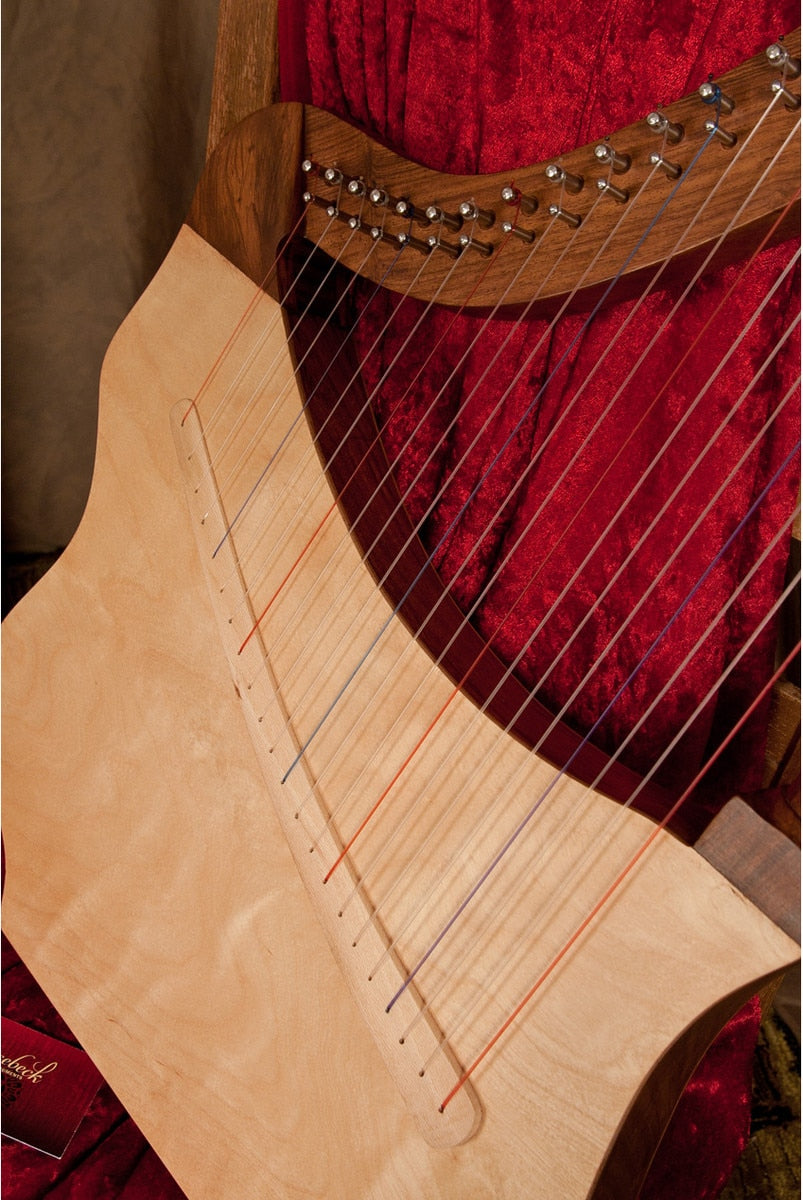 Roosebeck 22-String Lute Harp – Sheesham with Gig Bag – detail 8