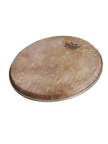 Remo 9" Darbuka Doumbek Drum Head – Skyndeep Fish Skin Graphic